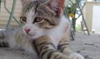Asus-Zenfone10-photo-sample (36)