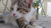 Asus-Zenfone10-photo-sample (36)