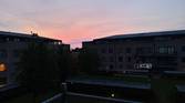 Asus-Zenfone10-photo-sample (8)