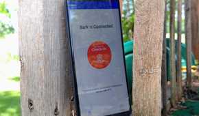 Check-in button for the Bark Phone
