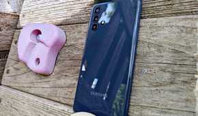 Back of the Bark Phone