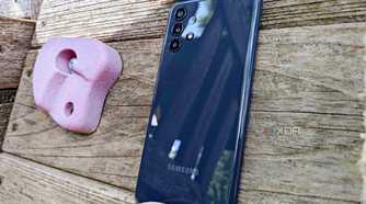 Back of the Bark Phone
