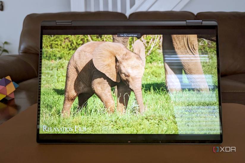 The Display on the Dell Latitude 9440 showing an elephant.