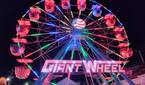 Giant-Wheel-Moto-G-Stylus