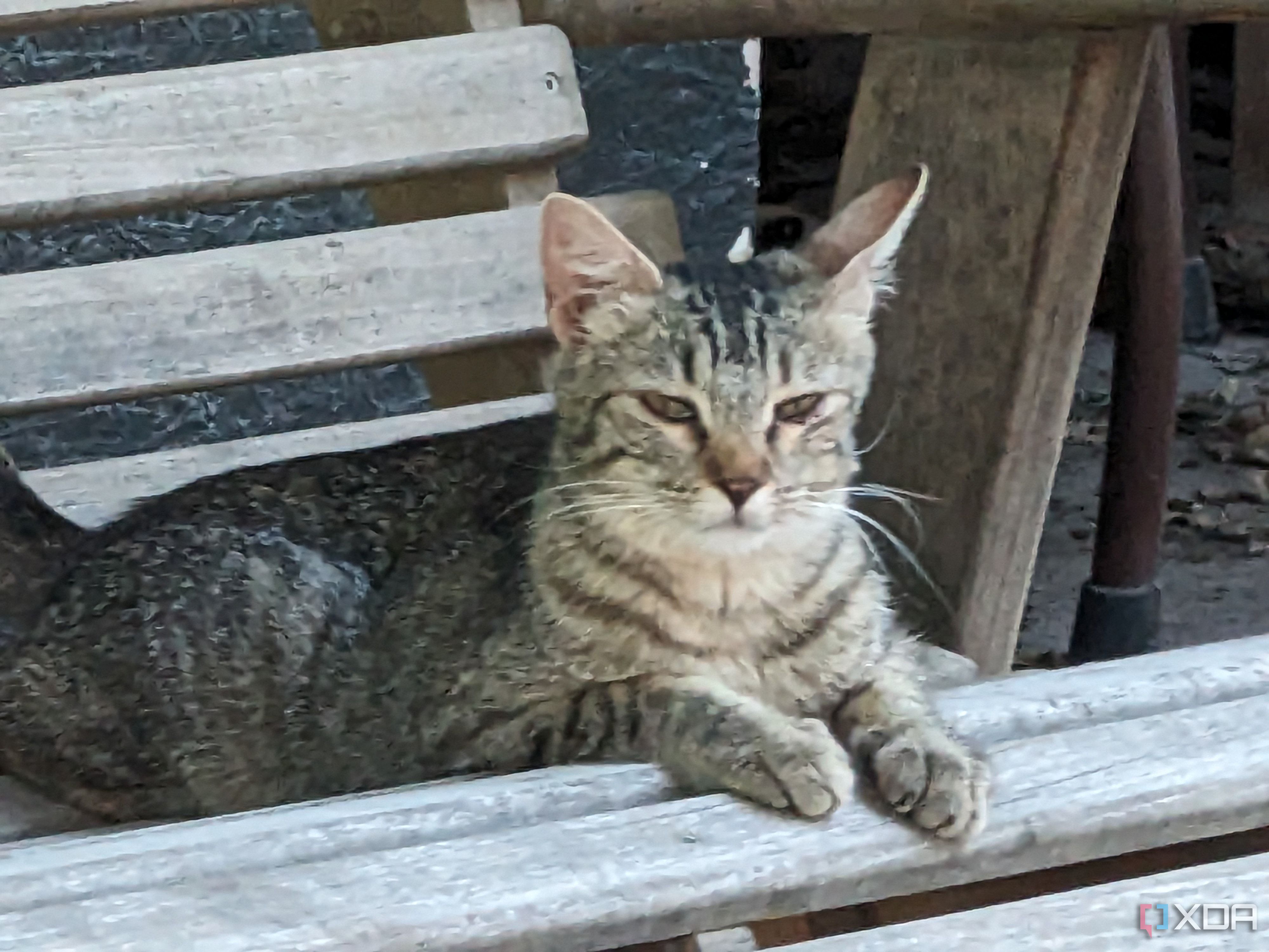 Google Pixel Fold Photo Sample a 20x zoom
