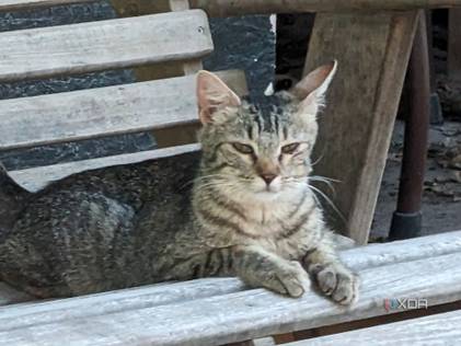 Google Pixel Fold Photo Sample a 20x zoom