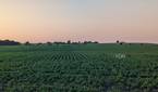 Google-Pixel-Fold-Photo-Sample (18)