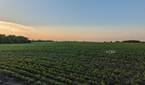 Google-Pixel-Fold-Photo-Sample (19)