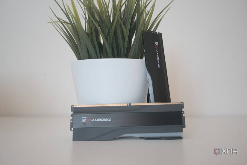 G.Skill Trident Z5 RGB DDR5-7200 RAM sticks next to a potted plant.