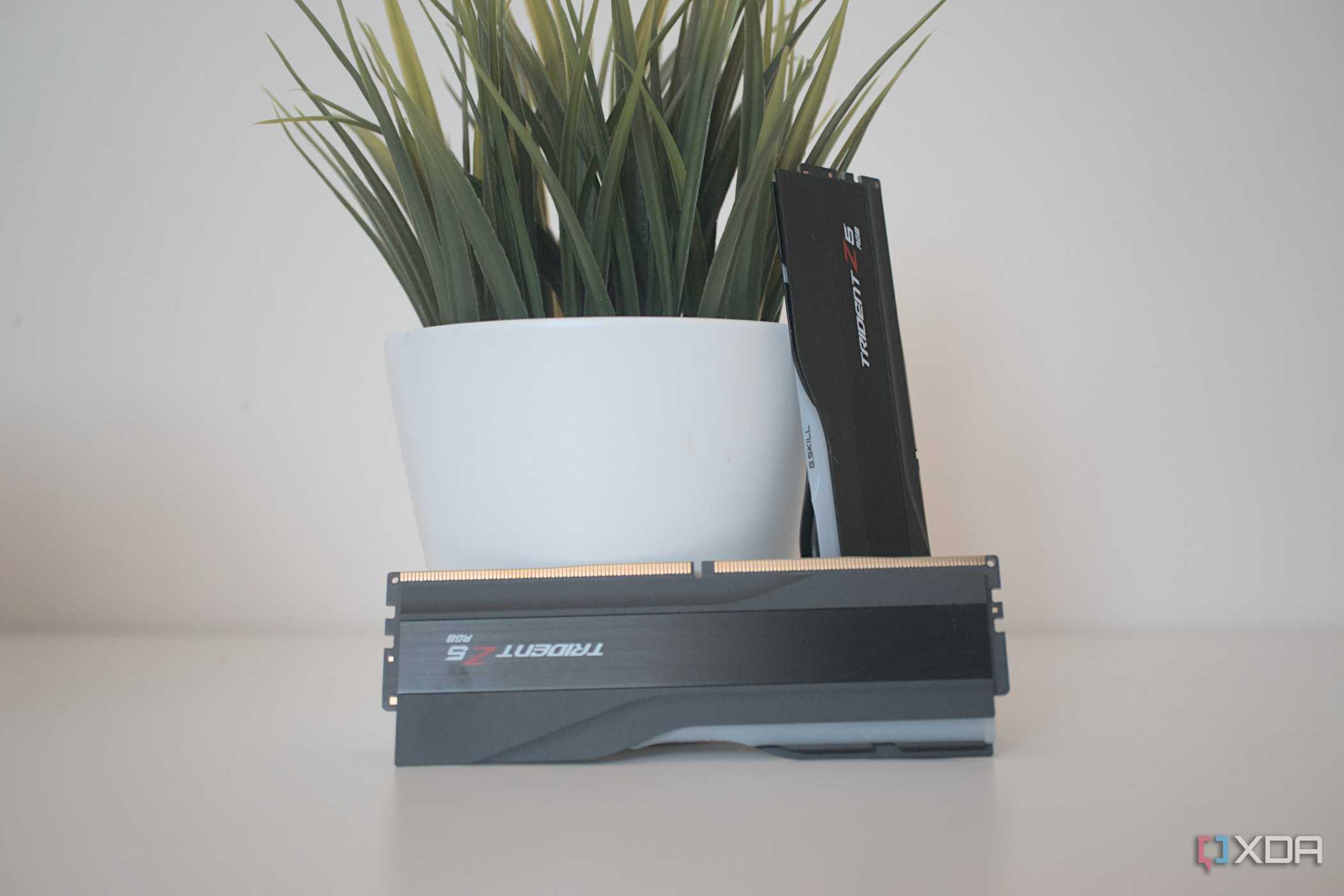 G.Skill Trident Z5 RGB DDR5-7200 RAM sticks next to a small houseplant