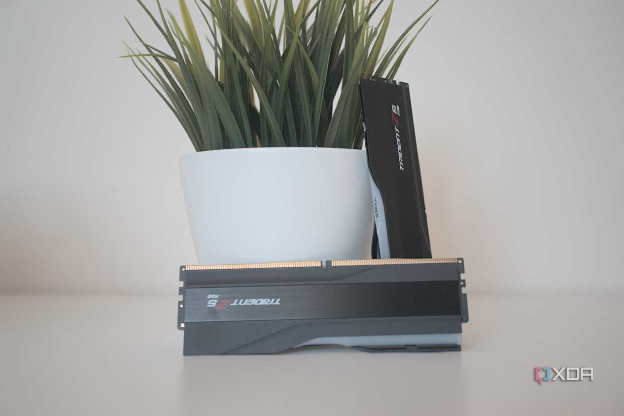 G.Skill Trident Z5 RGB DDR5-7200 RAM sticks next to a small houseplant
