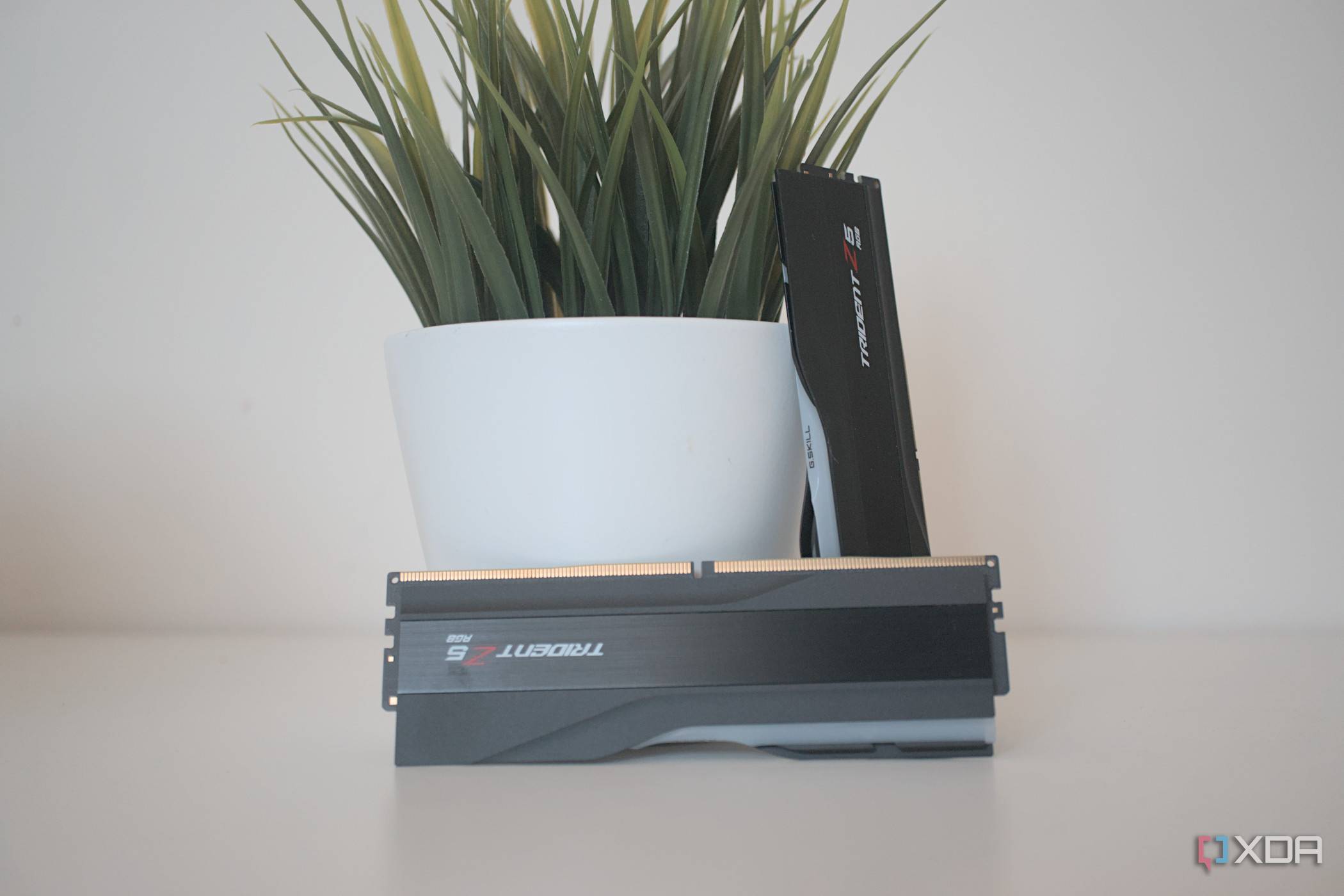 G.Skill Trident Z5 RGB DDR5-7200 RAM sticks next to a small houseplant