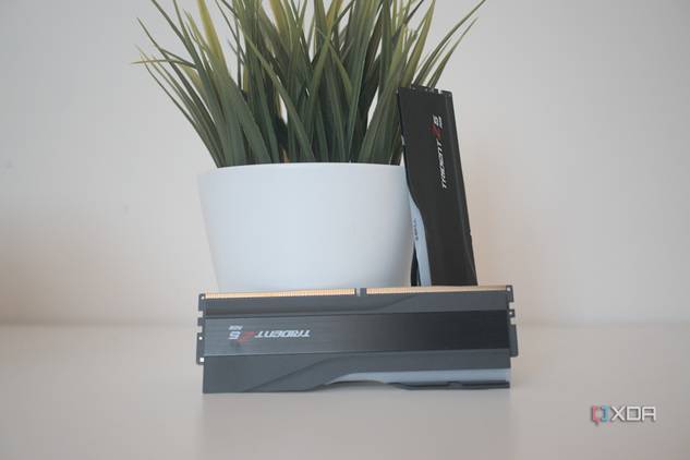 G.Skill Trident Z5 RGB DDR5-7200 RAM sticks next to a small houseplant