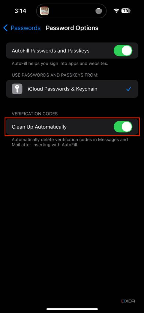 clean up automatically toggle