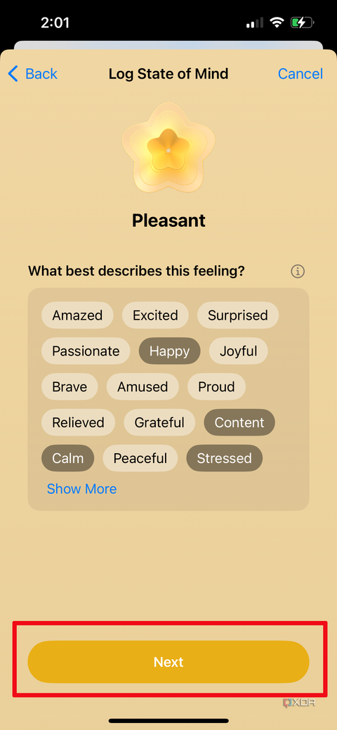 Apple Health app on iPhone showing pleasant mood and word bubbles with some feelings selected.