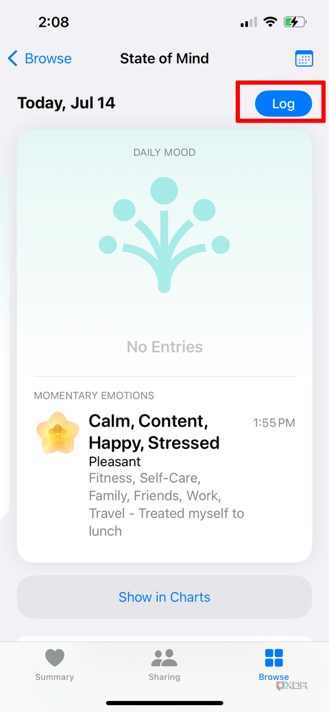 Apple Health app on iPhone with the Log button highlighted for manually logging your mood
