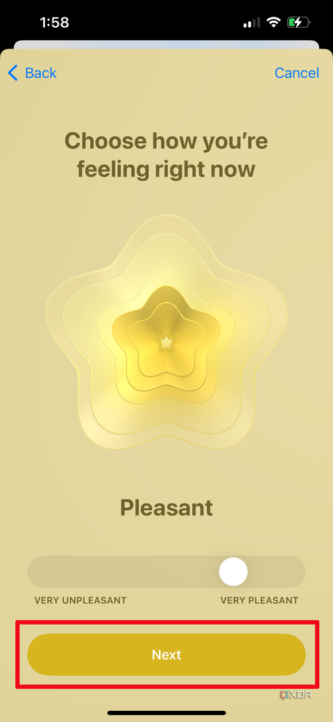 Apple Health app on iPhone showing mood as Pleasant.