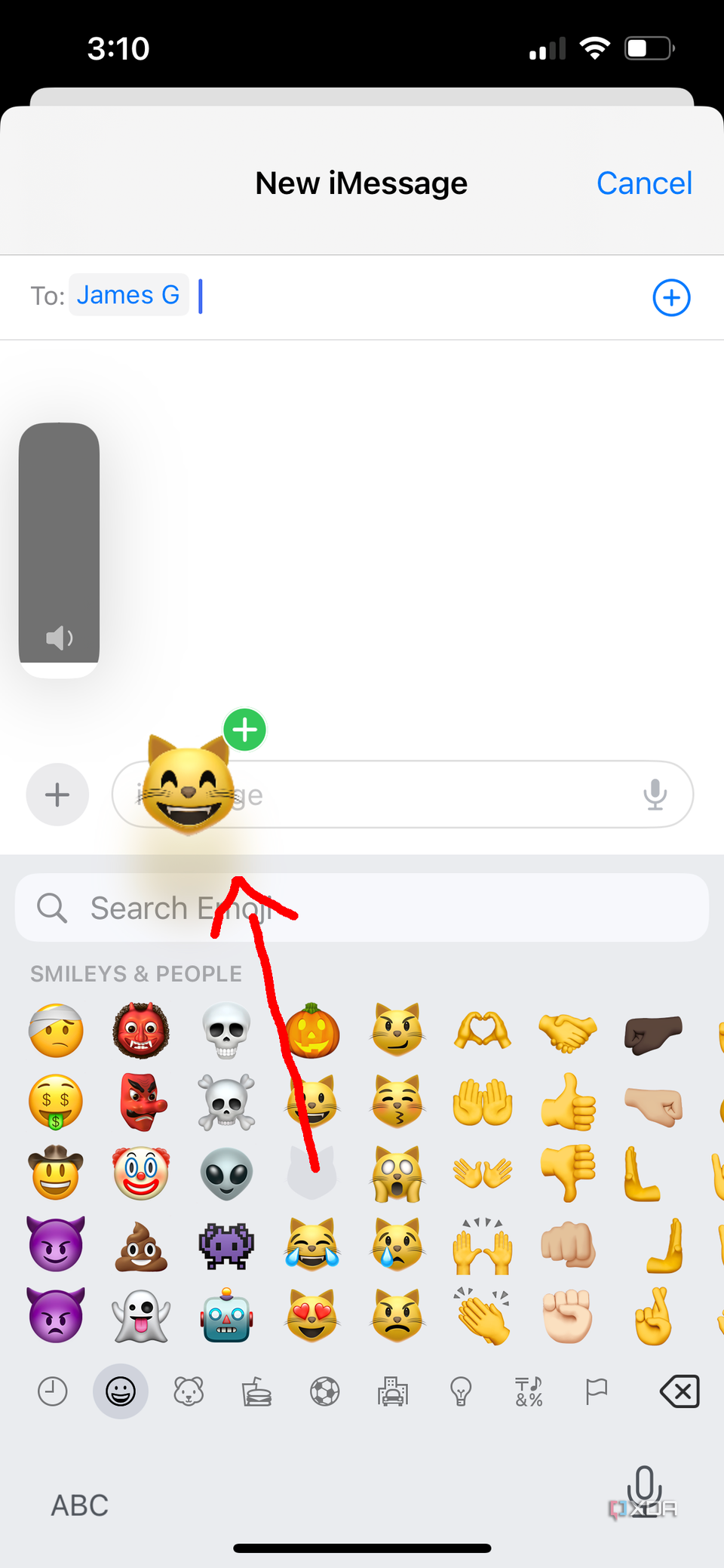 An open message window on iPhone showing an emoji of a cat smiling being dragged into the message