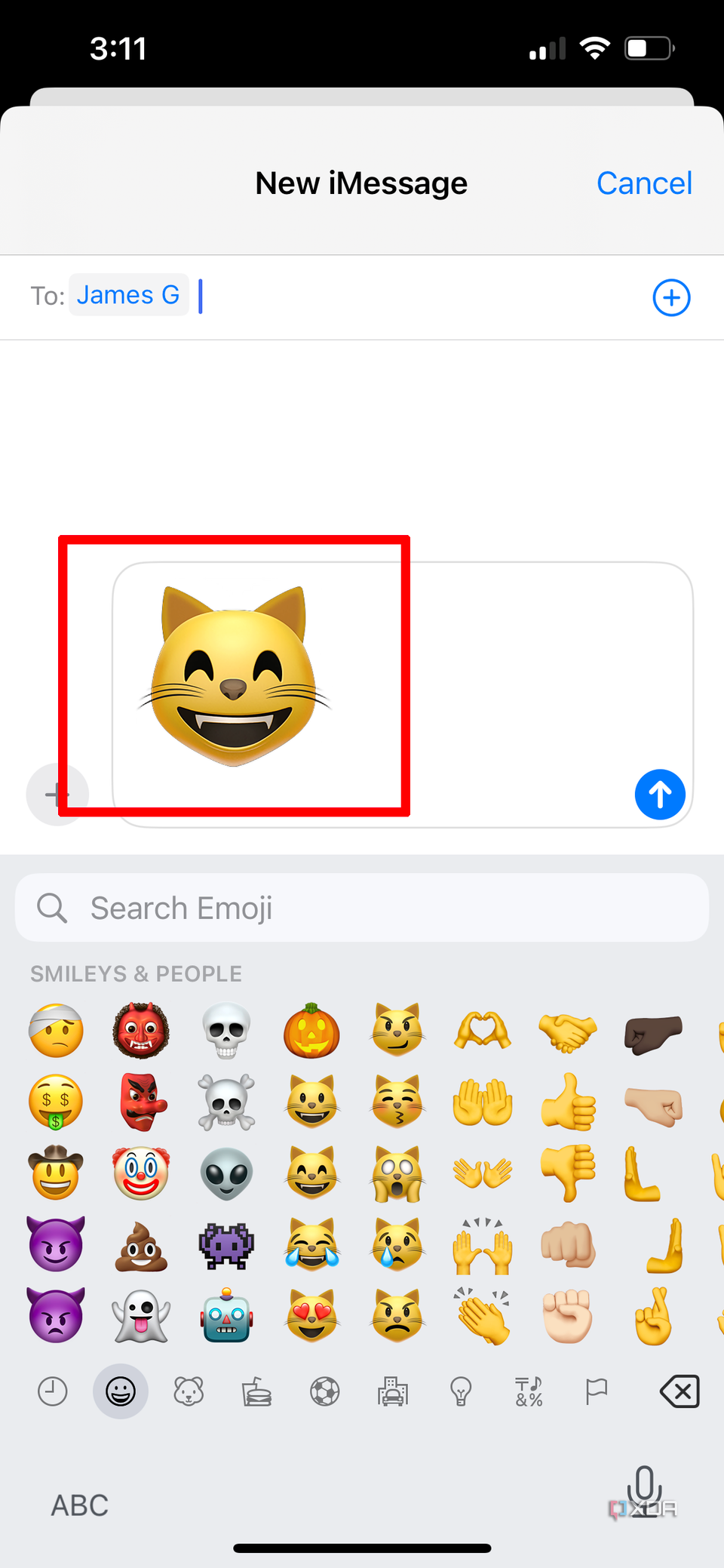 An emoji of a cat being used as a sticker in a message window on iPhone