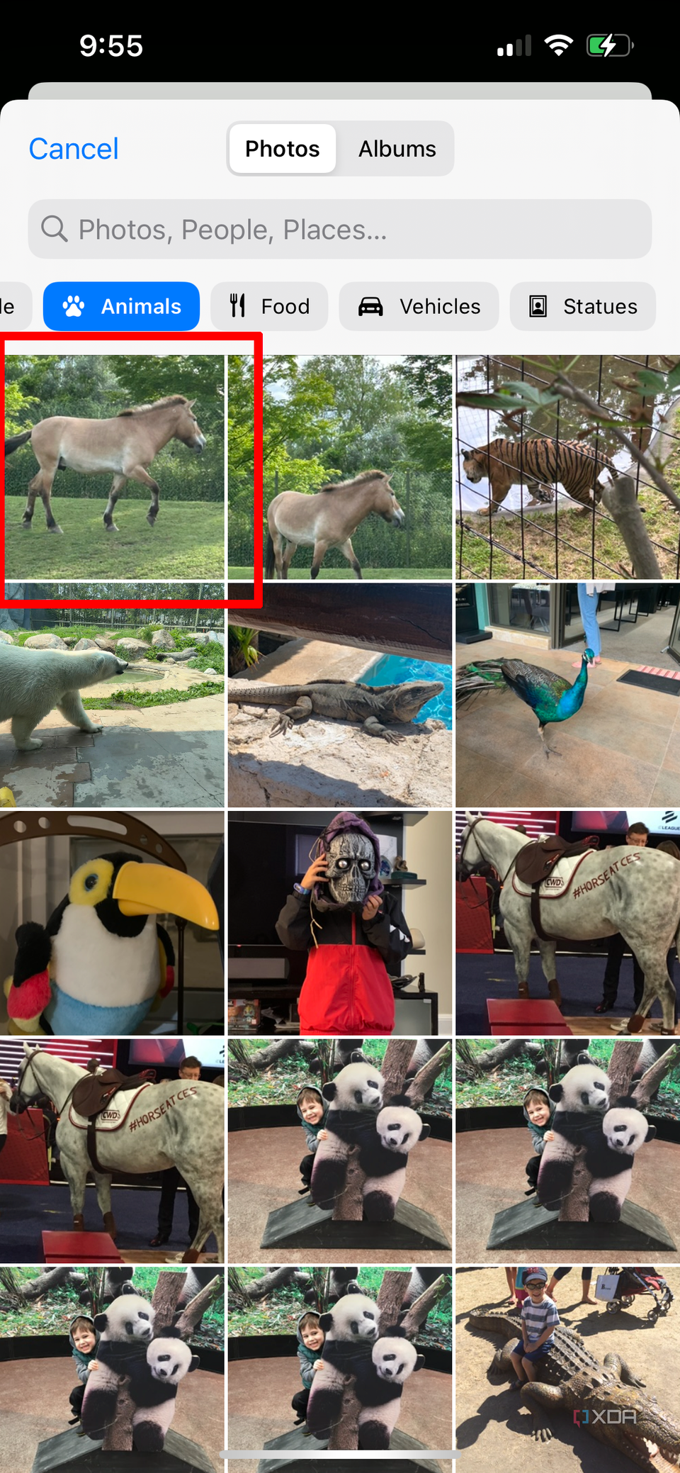 The camera roll on iPhone showing images of animals.