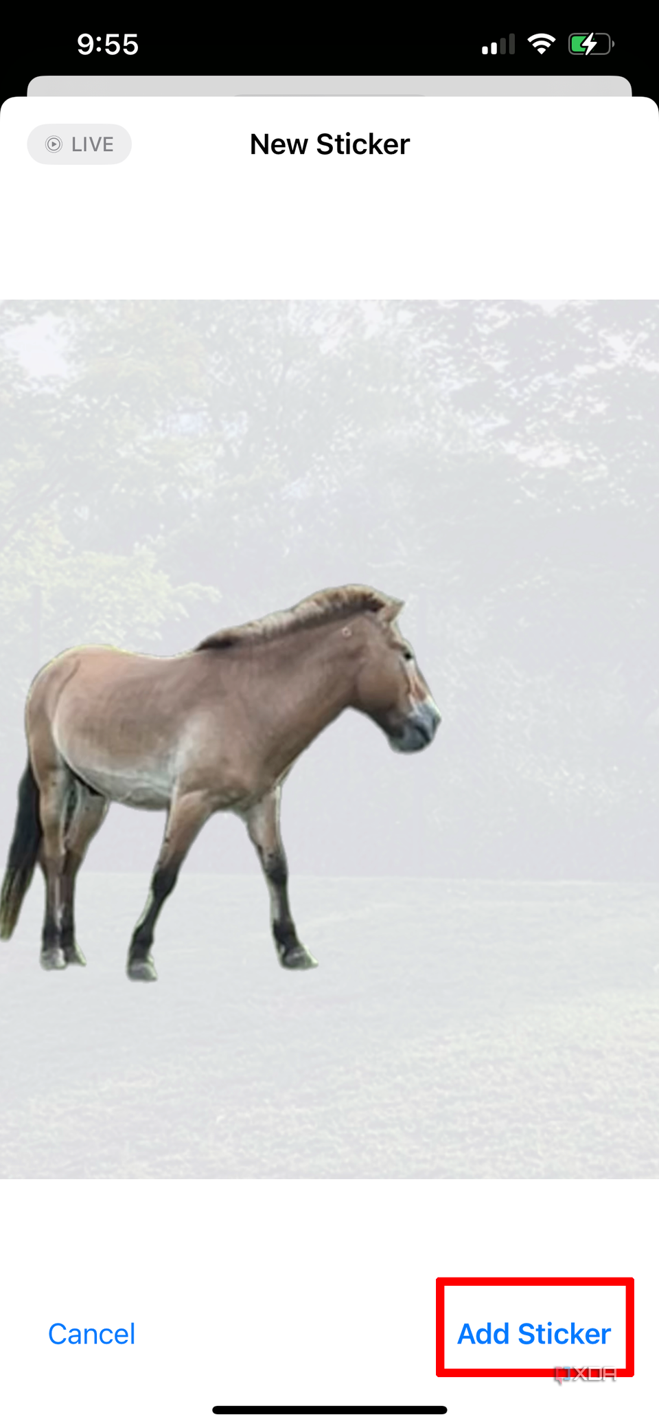 An image of a horse extracted from a photo and turned into a Sticker with the Add Sticker button selected on iPhone.