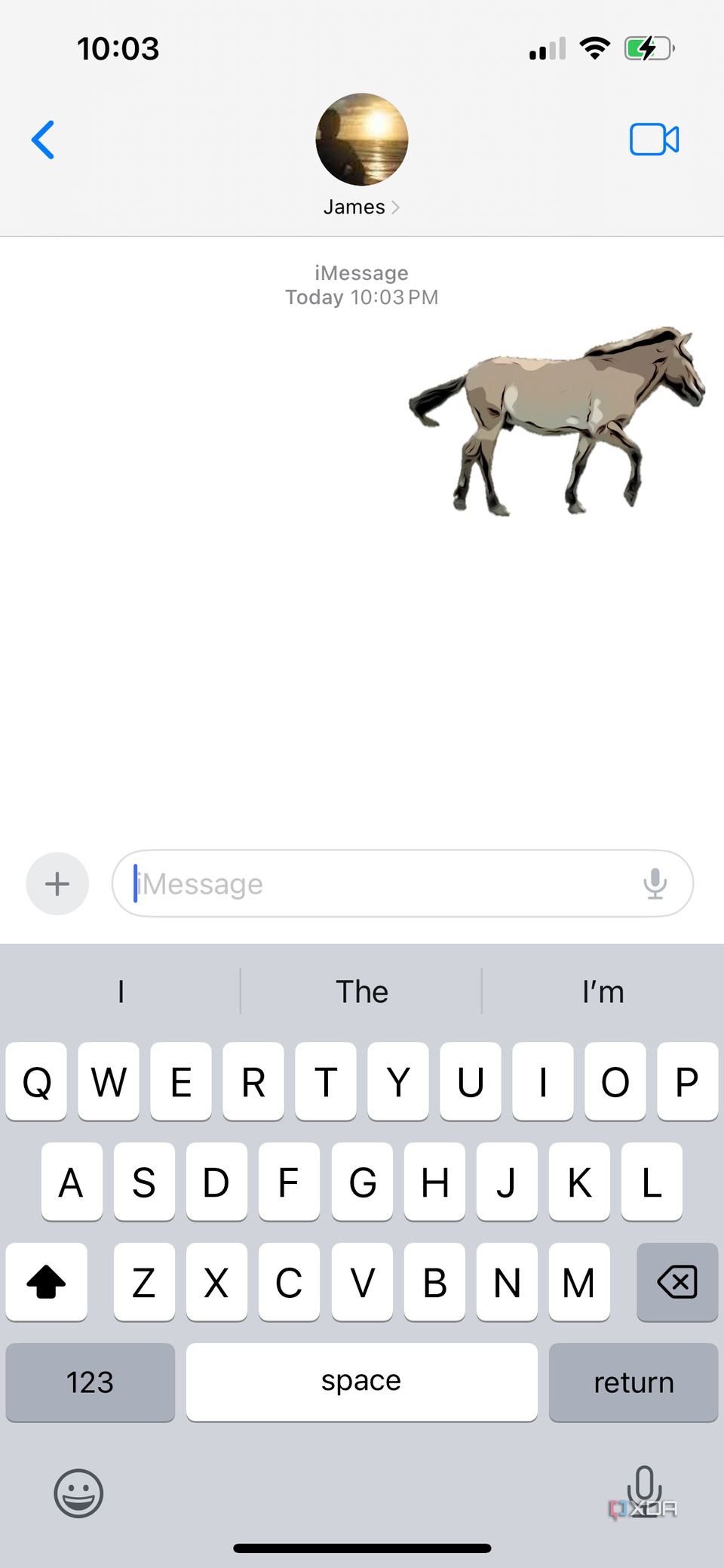 an open Message on iPhone with the image of a horse having been sent to someone.