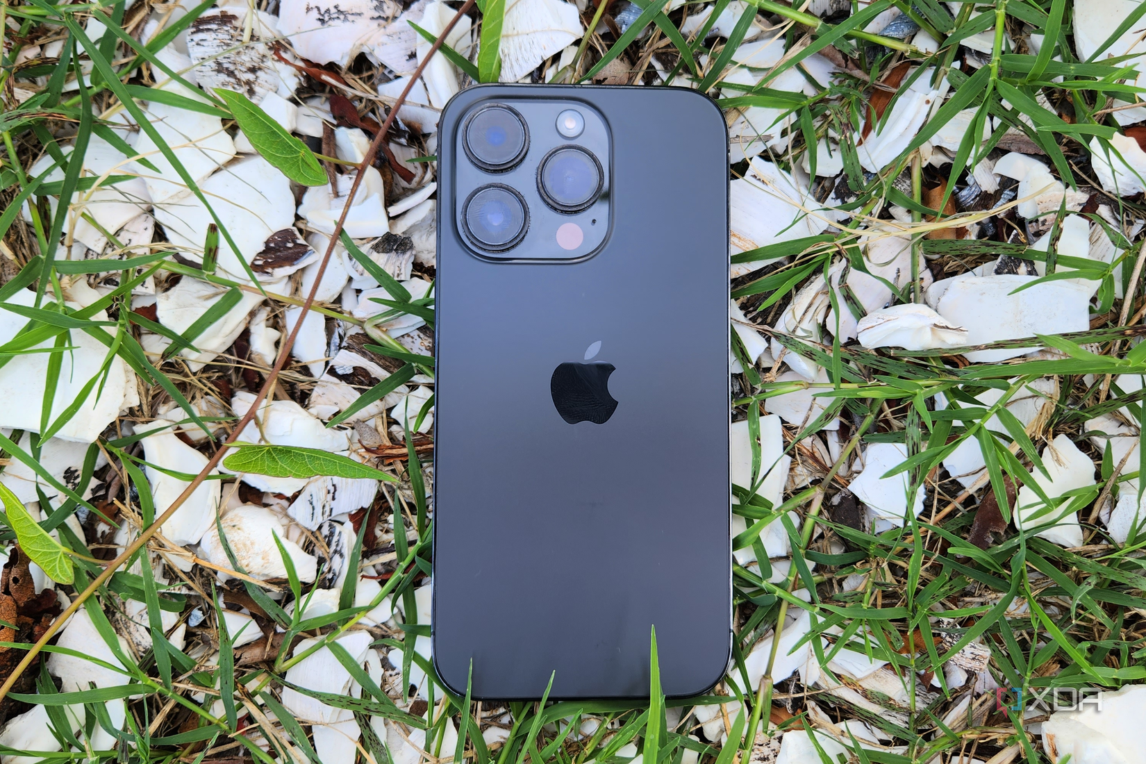 iPhone 15 vs iPhone 14 Pro: Go with the current model or wait a