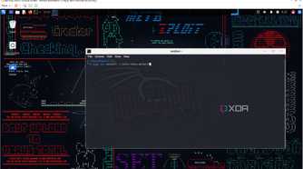 Snapshot of installing a metapackage in Kali Linux in VMware