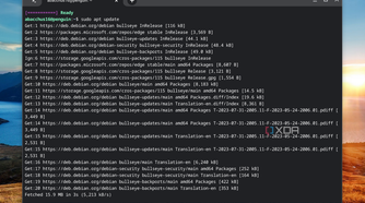 linux terminal in chromeos