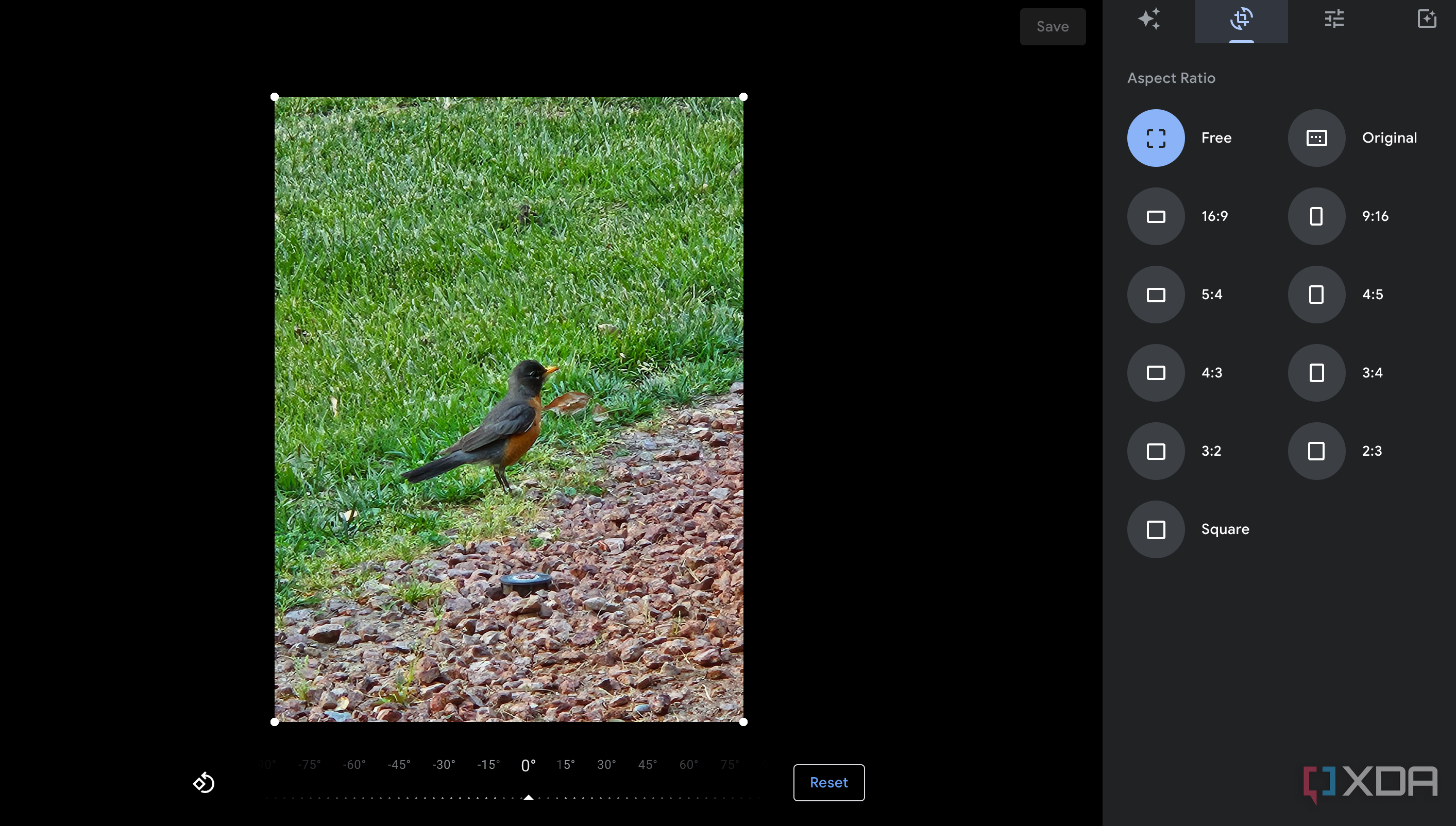 I learned these 6 lessons moving my photo library out of Google Photos