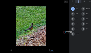 Google Photos with different Aspect Ratios