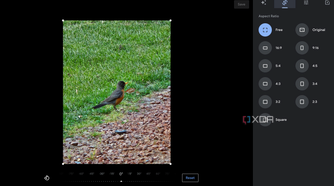 Google Photos with different Aspect Ratios
