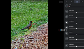 Photo editing tools on Google Photos