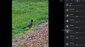 Photo editing tools on Google Photos