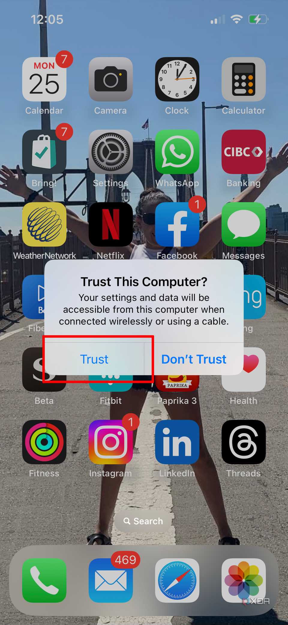 An iPhone home screen with a pop up asking if you want to trust a computer and Trust selected.
