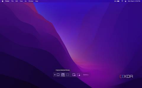 Capture selected window button in the Screenshot app