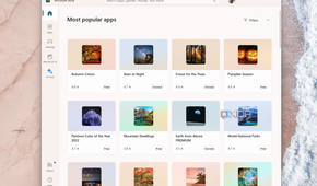 The Microsoft store in Windows 11 showing the avaialble themes