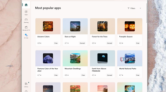 The Microsoft store in Windows 11 showing the avaialble themes