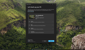 Screenshot of the Windows Backup app on Windows 11