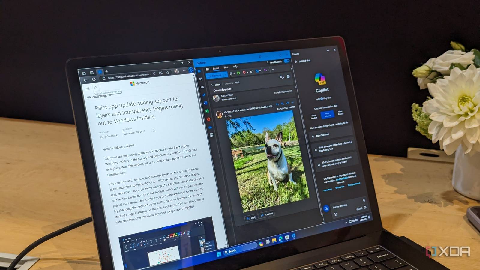 Windows Copilot in Windows 11