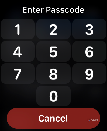 Apple Watch screen showing Enter Password with a numeric keypad.