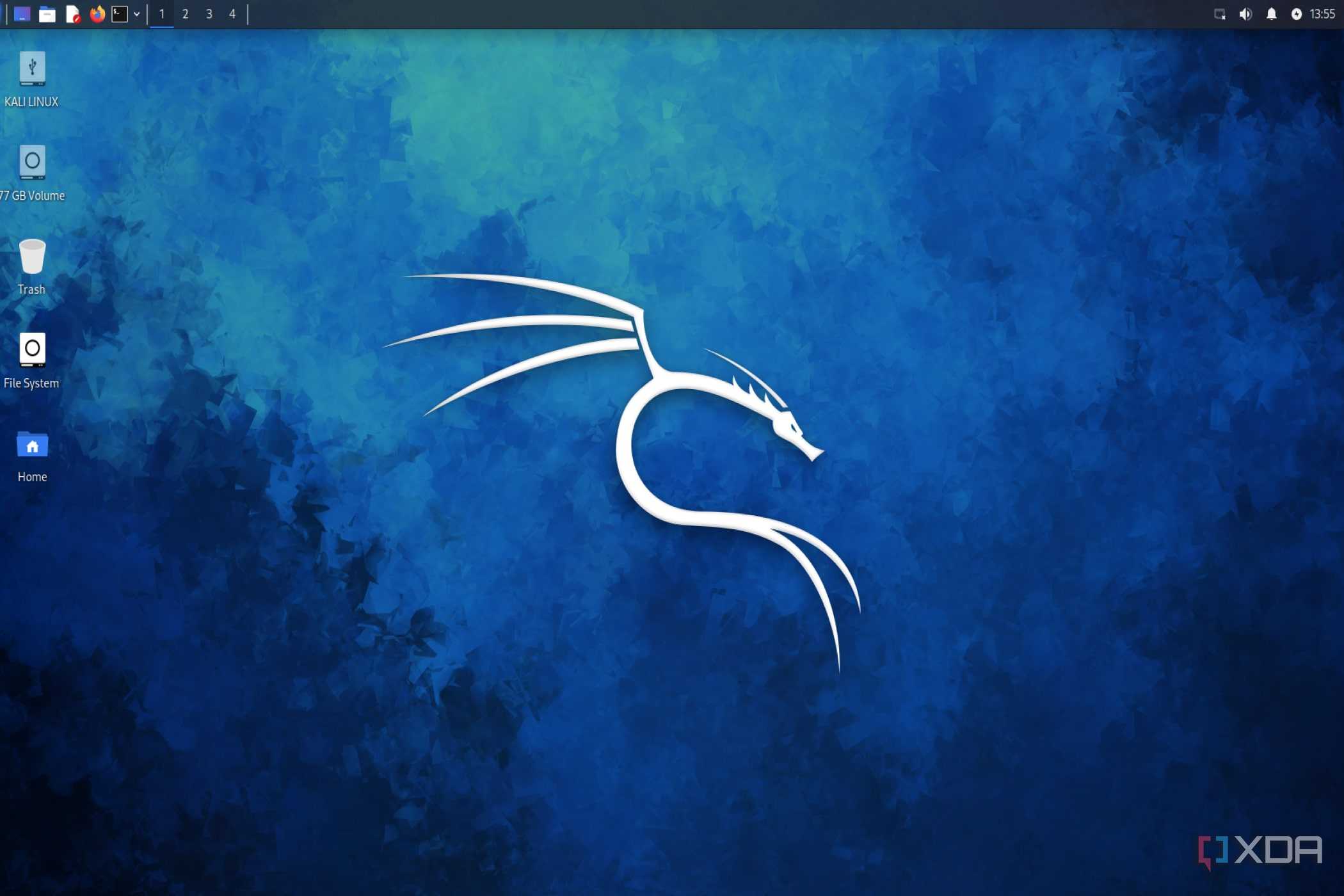 A screenshot of the Kali Linux desktop
