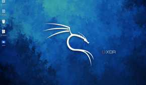 A screenshot of the Kali Linux desktop