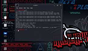 A screenshot of the package manager in Kali Linux