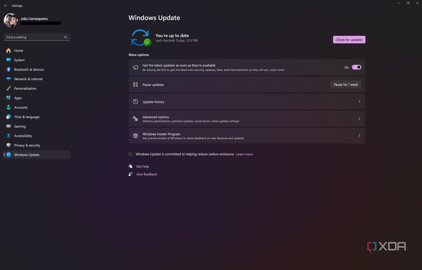 Screenshot of the Windows Update section in Windows 11 Settings