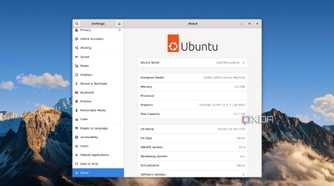 Ubuntu menu window.
