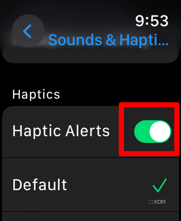 Apple Watch Sounds & Haptics menu with Haptic Alerts on.