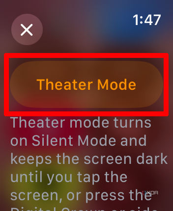Apple Watch Theater Mode selected with information about it and Theater Mode selected.