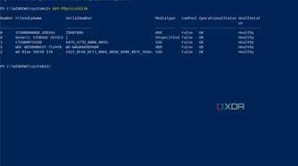 A screenshot of Windows Powershell with the Get-PhysicalDisk command