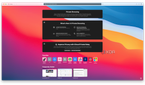 Safari Private Browsing tab.